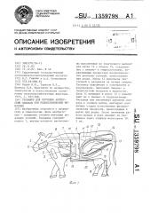 Тренажер для обучения акушерским навыкам при родовспоможении животным (патент 1359798)