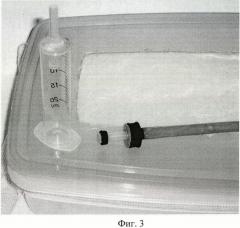 Способ биологической борьбы с огневкой plodia interpunctella с помощью наездников bracon hebetor в помещениях для разведения шмелей (патент 2415571)