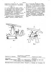 Мотодельтаплан (патент 1497921)