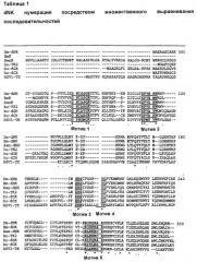 Вариант мультисубстратной дезоксирибонуклеозидкиназы, кодирующий его мутированный полинуклеотид, экспрессирующая векторная конструкция и их применение (патент 2297453)