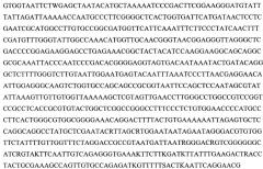 Штамм микроскопического гриба fusarium equiseti, содержащий биологически активные вещества, проявляющие противоопухолевую и противовирусную активность (патент 2664252)