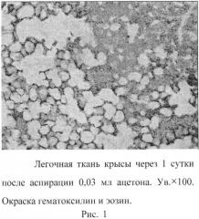 Способ моделирования и фармакологической коррекции острого повреждения легких в эксперименте (патент 2541831)