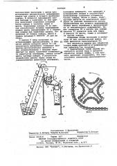 Машина для обработки плодов люффы (патент 1025404)