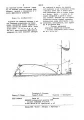 Устройство для тренировки прыгунов с шестом (патент 889020)