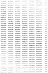 Рекомбинантный белок collbd-bmp-7, рекомбинантная плазмида pcollbd-bmp-7, штамм escherichia coli-продуцент рекомбинантного белка collbd-bmp-7, способ получения рекомбинантного белка collbd-bmp-7 (патент 2408730)