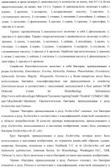 Способ получения l-треонина с использованием бактерии, принадлежащей к роду escherichia, в которой инактивирован ген yncd (патент 2396337)