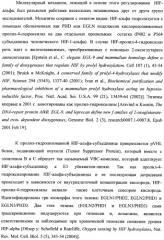 Замещенные дигидропиразолоны для лечения кардиоваскулярных и гематологических заболеваний (патент 2469031)