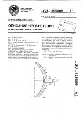 Способ правки шлифовального круга (патент 1230809)