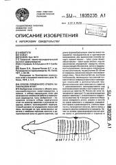 Способ племенного отбора каракульских ягнят (патент 1835235)