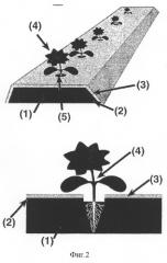 Покрытие для защиты растений от вредителей (патент 2292136)