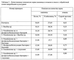 Способ предпосевной обработки семян яровых зерновых (варианты) (патент 2655789)