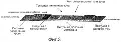 Устройства, способы и наборы для иммунохроматографии (патент 2568875)