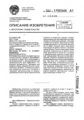 Проходная печь (патент 1700344)