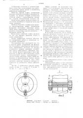 Упругая муфта (патент 1075025)