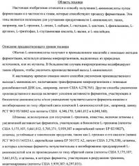 Способ получения l-треонина с использованием бактерии, принадлежащей к роду escherichia (патент 2338783)