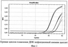 Синтетические олигонуклеотидные праймеры и способ выявления днк вируса инфекционной анемии цыплят с помощью синтетических олигонуклеотидных праймеров в полимеразной цепной реакции в режиме реального времени (патент 2481403)