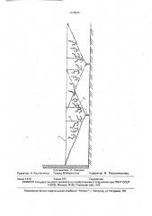 Способ возделывания укрывной культуры винограда (патент 1648285)