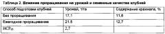 Способ выращивания картофеля на лесотундровых вечномерзлых почвах (патент 2604304)