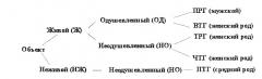 Процессор образов кущенко в.а. (патент 2399093)