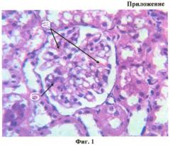 Способ диагностики свинцовой нефропатии у экспериментальных животных при хроническом отравлении (патент 2549952)