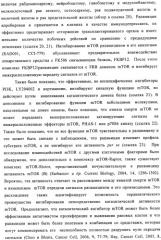 Производные пиридо-, пиразо- и пиримидо-пиримидина и их применение в качестве ингибиторов mtor (патент 2445315)