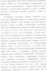 Ингибиторы крузипаина и других цистеинпротеаз (патент 2329266)