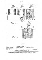 Способ посадки растений в контейнерах (патент 1790871)