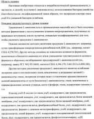 Способ получения l-треонина с использованием бактерии, принадлежащей к роду escherichia, в которой инактивирован кластер генов yrah-r (патент 2337962)