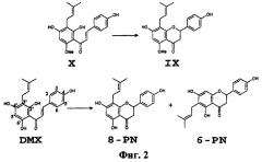 Ферментативное деметилирование флавоноидов (патент 2449018)