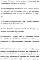 Комбинированный продукт для борьбы с паразитами животных (патент 2477047)