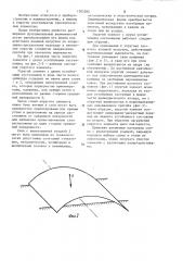 Упругий элемент с двумя устойчивыми состояниями (патент 1203260)