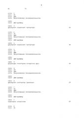Конструкции гомодимерных белков (патент 2624041)