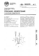 Рабочий орган для выкопки растений (патент 1625379)