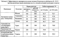 Штамм streptomyces globisporus к-35/15 в качестве средства для защиты растений от вредных насекомых - фитофагов (патент 2630661)