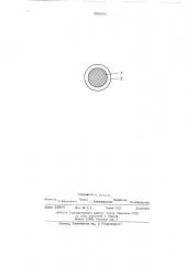 Носитель магнитной записи (патент 509881)