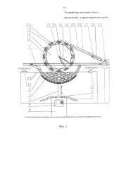 Устройство для поштучного разделения и ориентирования рыбы (патент 2645977)