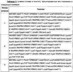 Рекомбинантный микроорганизм для ферментативного производства метионина (патент 2629760)