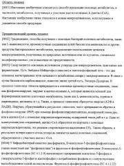 Использование фосфокетолазы для продукции полезных метаболитов (патент 2322496)