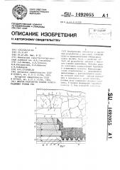 Способ разработки мощных пологопадающих рудных тел (патент 1492055)