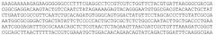 Конструкции рекомбинантного непатогенного вируса болезни марека, кодирующие антигены вируса инфекционного ларинготрахеита и вируса болезни ньюкасла (патент 2624037)