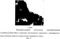 Сырьевая смесь для ячеистых изделий автоклавного твердения (патент 2509737)