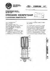 Способ установки анкера в мерзлых породах (патент 1559184)