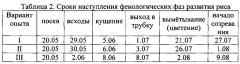 Способ выращивания риса при использовании минеральных удобрений и биостимуляторов роста на бурых полупустынных орошаемых почвах (патент 2649017)