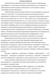 Способ придания бактерии, принадлежащей к роду methylophilus, ауксотрофности по l-аминокислоте, бактерия, принадлежащая к роду methylophilus, и способ продукции l-аминокислоты (патент 2395569)