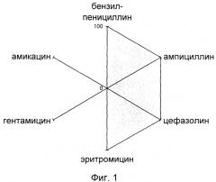 Способ выявления госпитальных штаммов (патент 2245922)