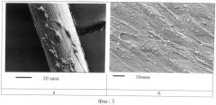 Биосовместимое биодеградируемое композиционное волокно и способ его получения (патент 2509091)