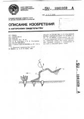 Устройство для удаления ботвы корнеплодов на корню (патент 1041059)