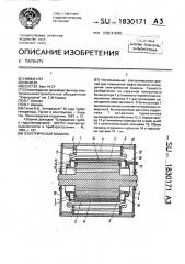 Электрическая машина (патент 1830171)