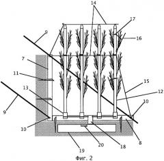 Способ и система устройств для освоения склонов гор путем выращивания растений в интенсивном режиме (патент 2423044)
