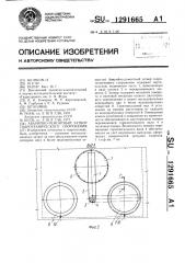 Аварийно-ремонтный затвор гидротехнического сооружения (патент 1291665)